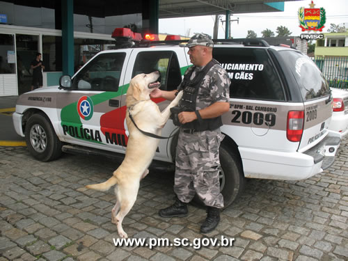 Polícia Militar intensifica operações contra o tráfico de drogas em BC