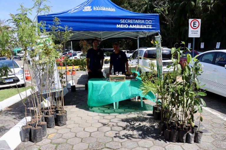 Distribuição de mudas de árvores nativas marca celebração do Dia da Mãe Terra em BC