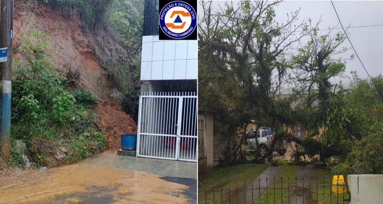 Chuva intensa provoca quedas de árvores e deslizamentos em Balneário Camboriú